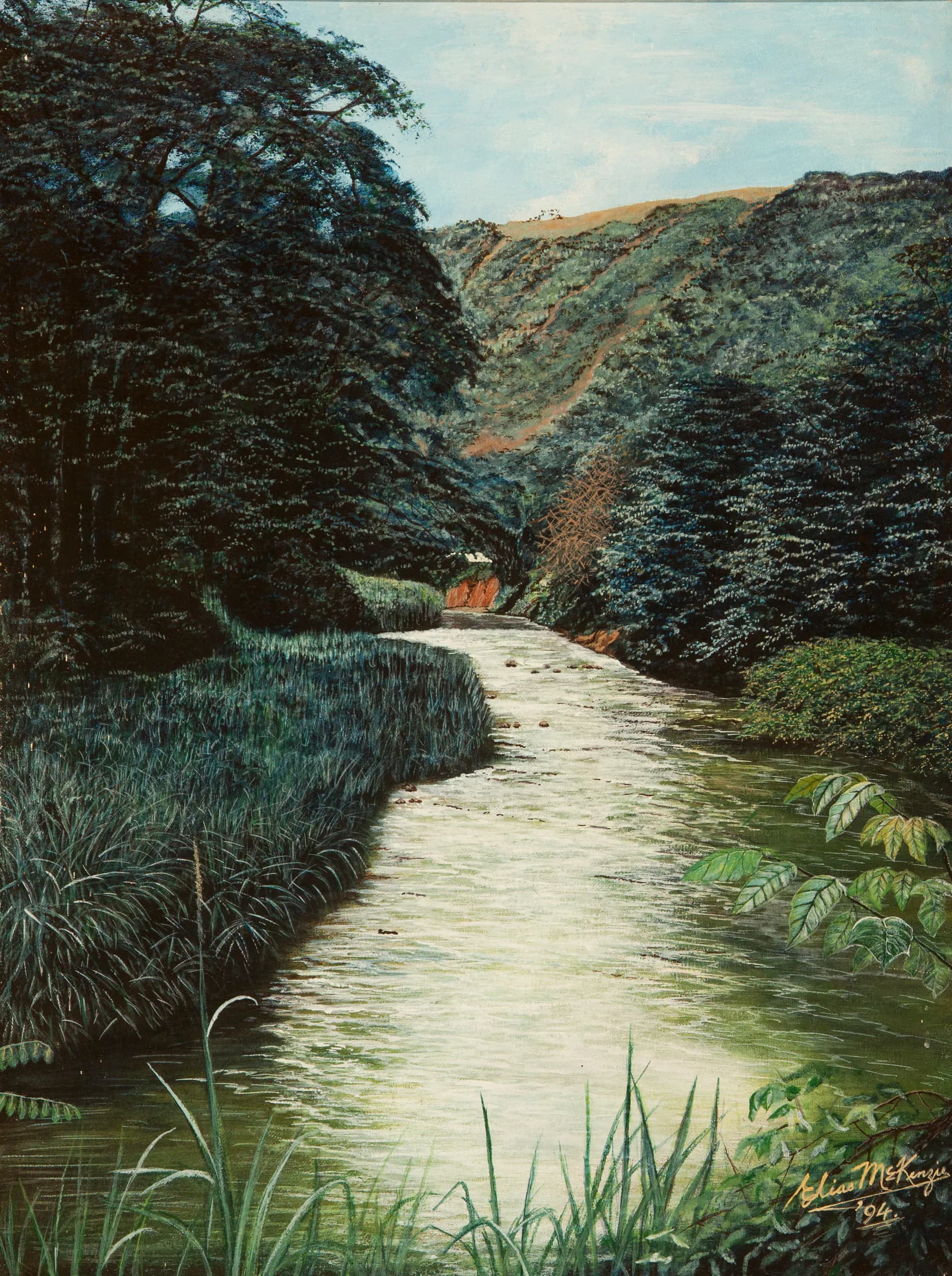 Rio Cobre Gorge (Near Kent Village)